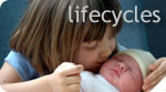 Lifecycles