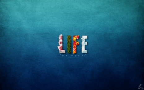 beautiful-life-wallpapers.jpg